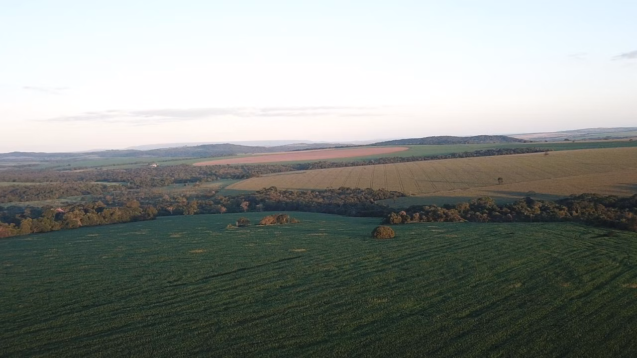 Fazenda de 390 ha em Piracanjuba, GO