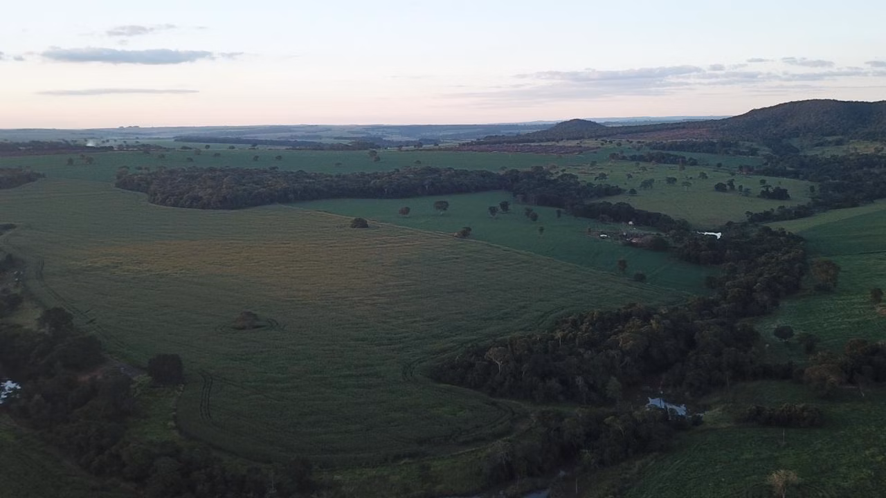 Fazenda de 390 ha em Piracanjuba, GO