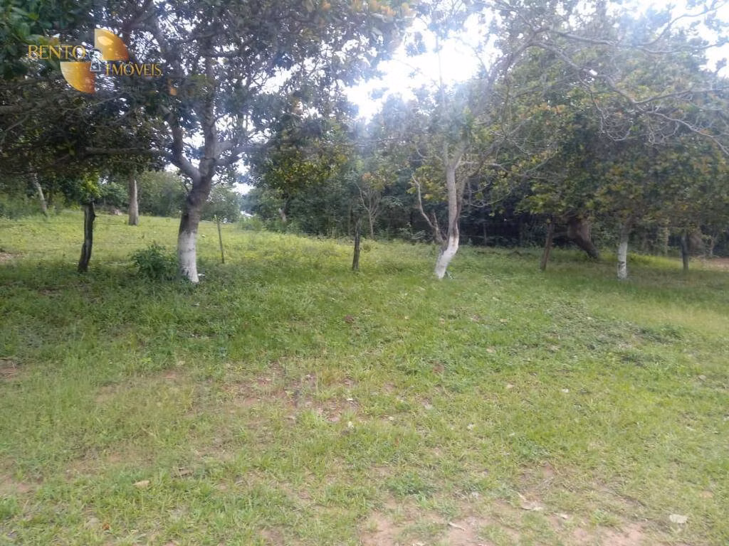 Fazenda de 337 ha em Rondonópolis, MT