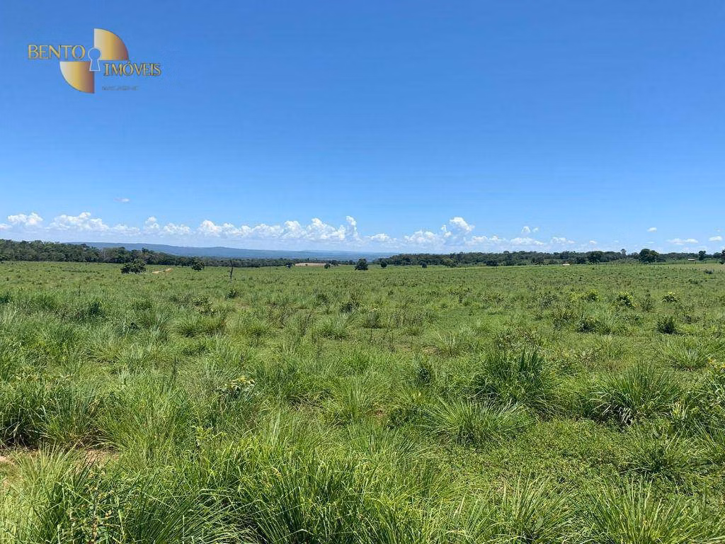 Fazenda de 337 ha em Rondonópolis, MT