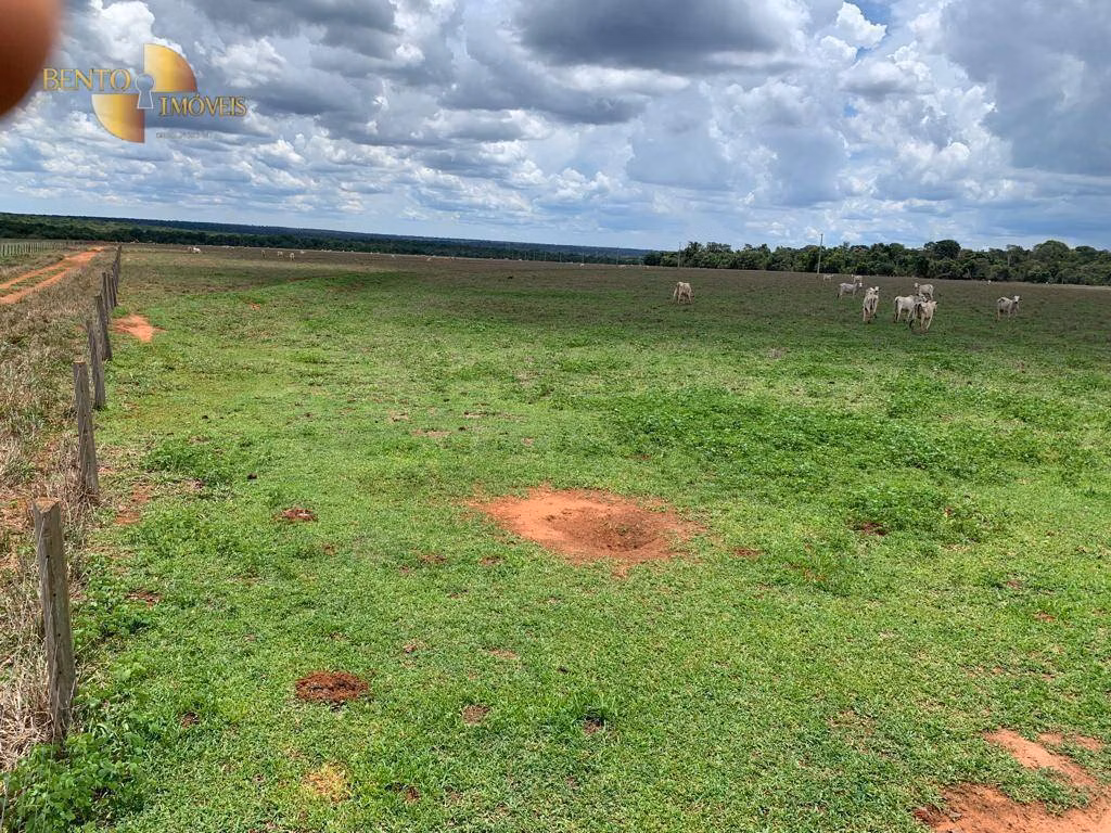Fazenda de 2.035 ha em Paranatinga, MT