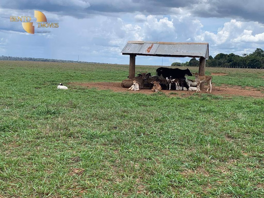 Fazenda de 2.035 ha em Paranatinga, MT
