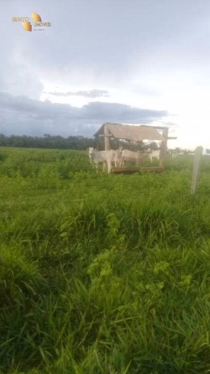 Fazenda de 2.035 ha em Paranatinga, MT