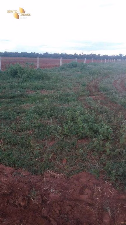 Fazenda de 2.035 ha em Paranatinga, MT