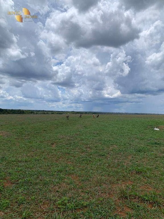 Fazenda de 2.035 ha em Paranatinga, MT