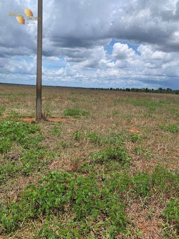 Fazenda de 2.035 ha em Paranatinga, MT