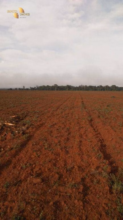 Fazenda de 2.035 ha em Paranatinga, MT