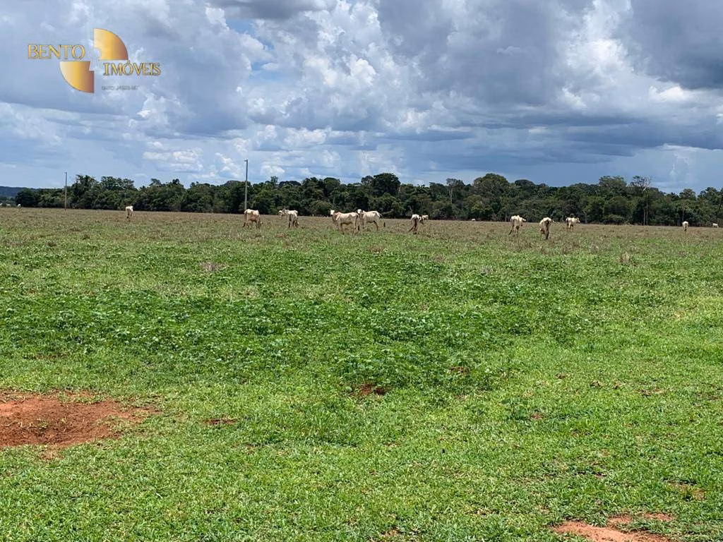 Fazenda de 2.035 ha em Paranatinga, MT
