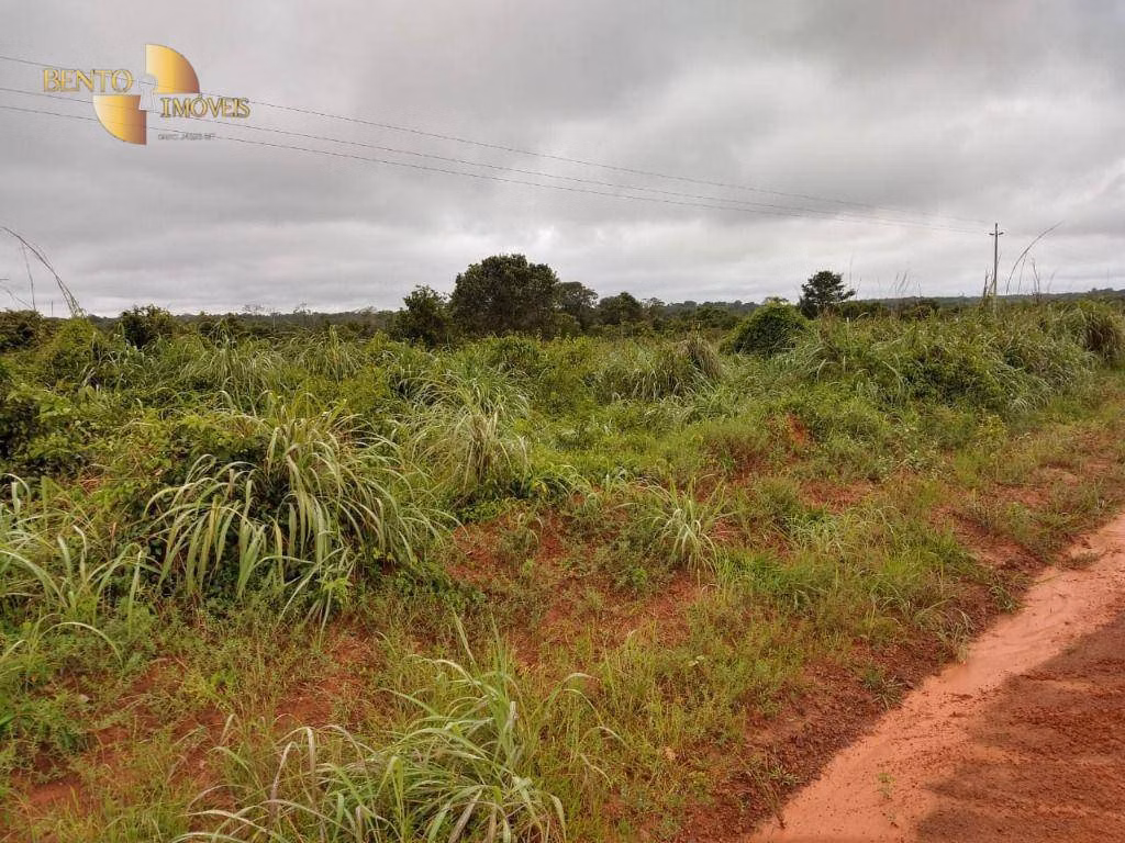 Fazenda de 1.300 ha em Matupá, MT