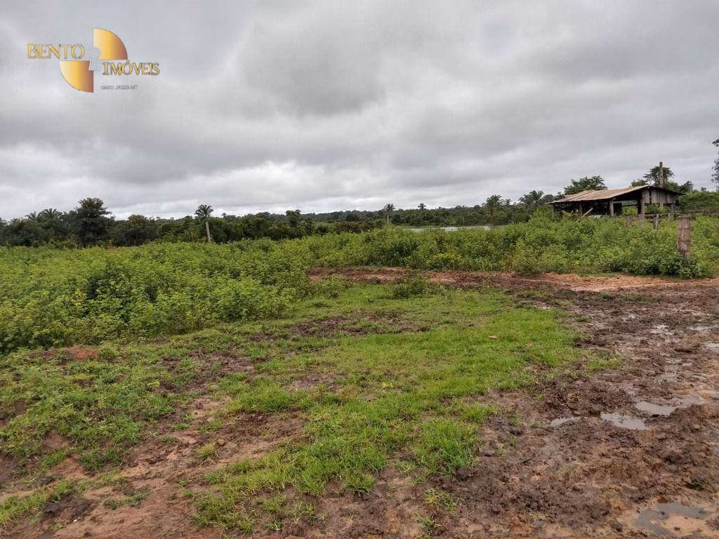 Fazenda de 1.300 ha em Matupá, MT