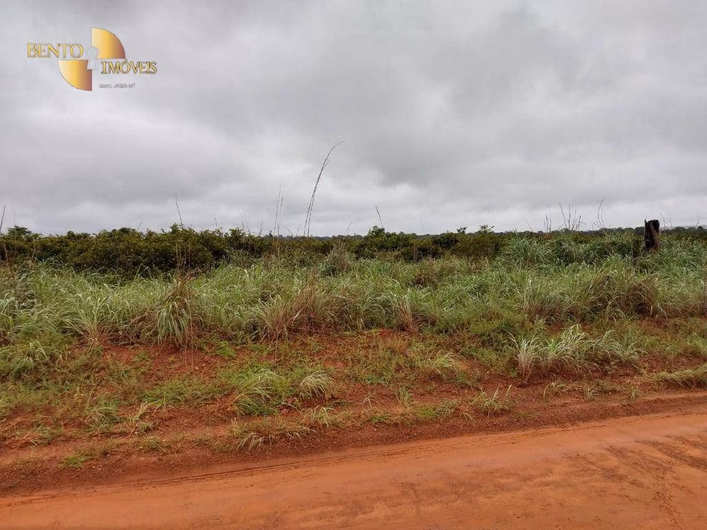 Fazenda de 1.300 ha em Matupá, MT
