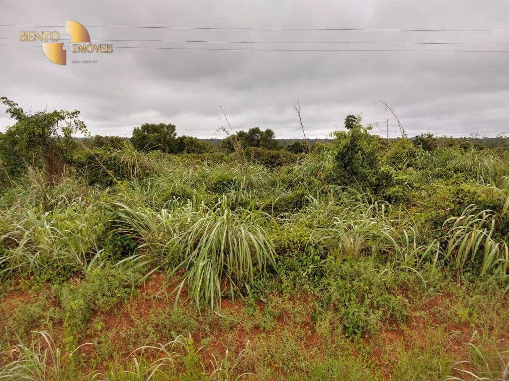 Fazenda de 1.300 ha em Matupá, MT
