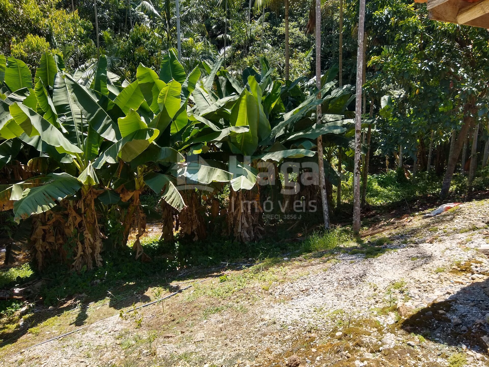 Farm of 14 acres in Botuverá, SC, Brazil
