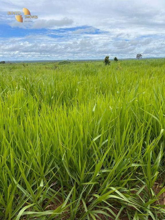 Fazenda de 3.150 ha em Paranatinga, MT