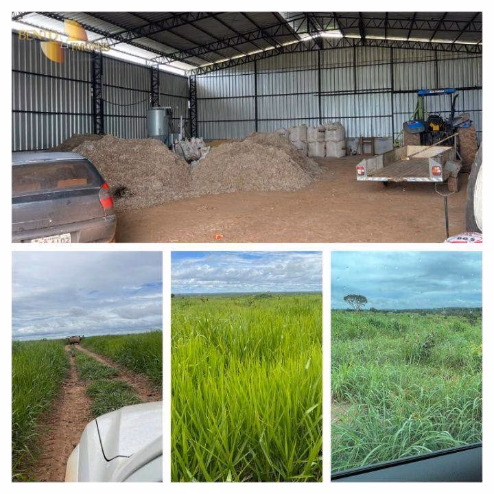 Fazenda de 3.150 ha em Paranatinga, MT