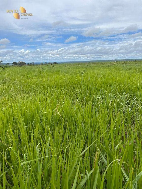 Fazenda de 3.150 ha em Paranatinga, MT