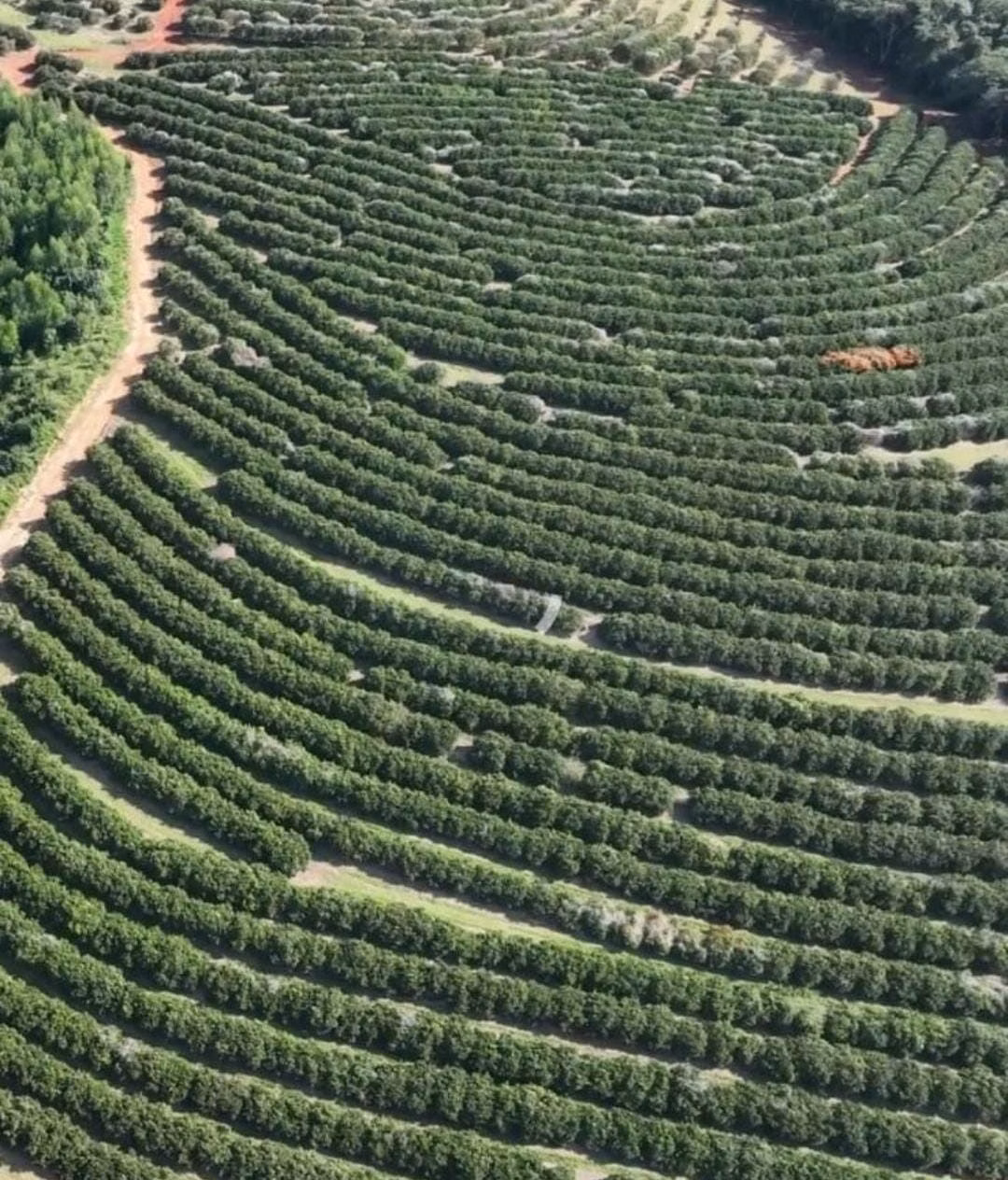 Fazenda de 411 ha em Angatuba, SP