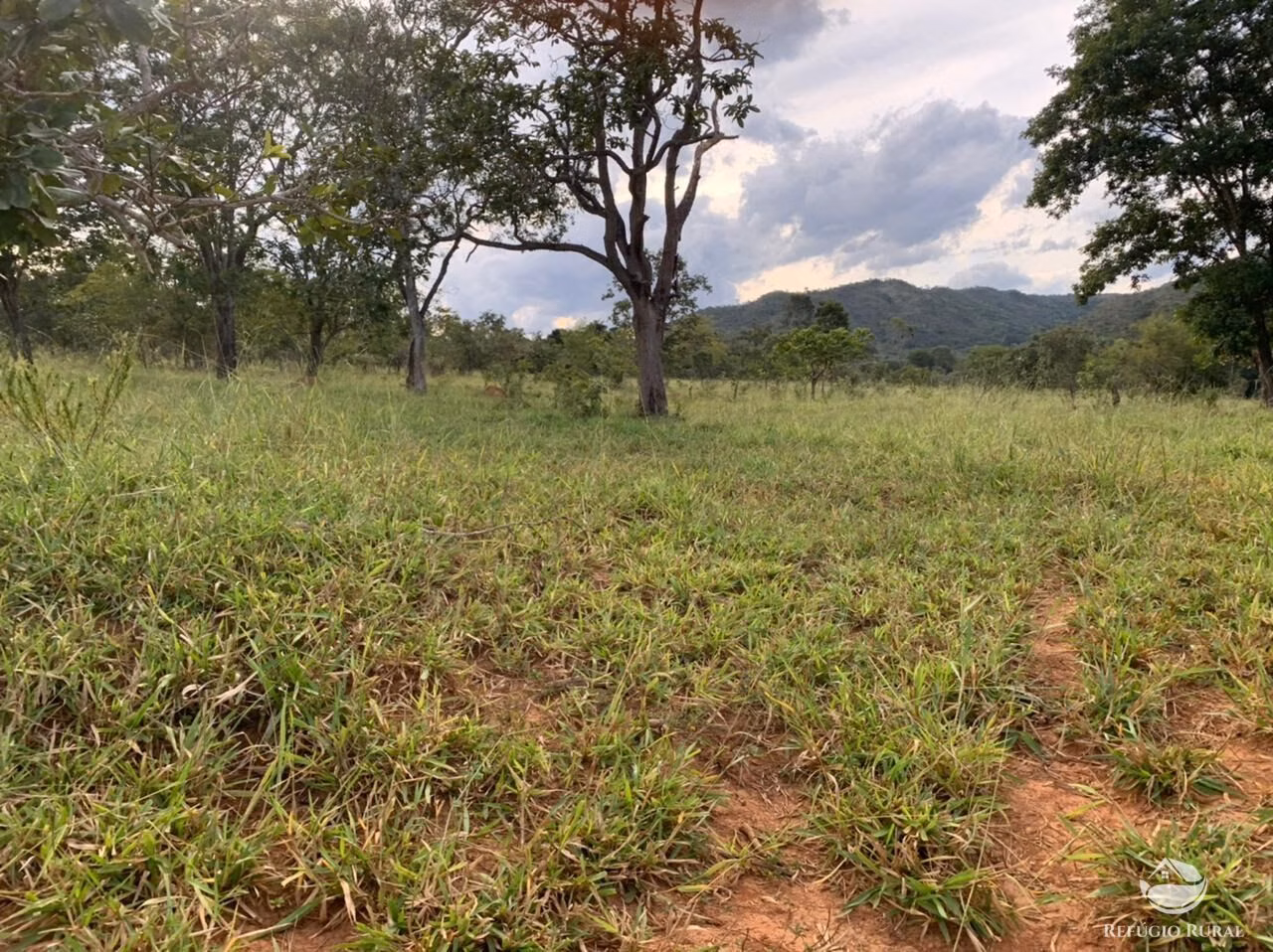 Fazenda de 212 ha em Brasília, DF