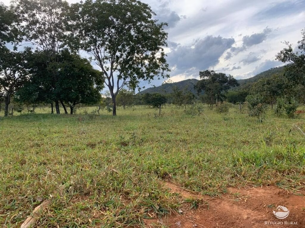 Fazenda de 212 ha em Brasília, DF