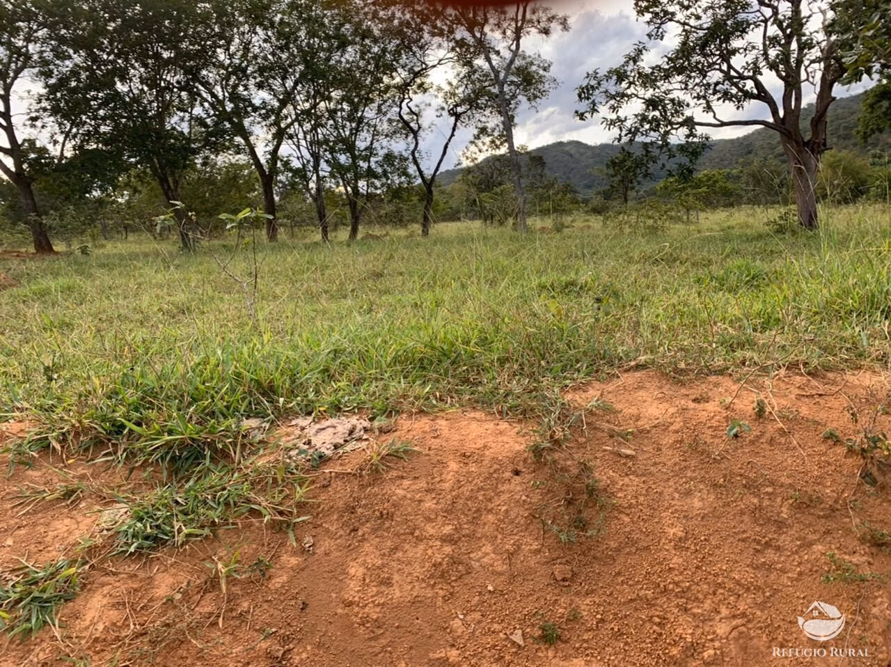 Fazenda de 212 ha em Brasília, DF