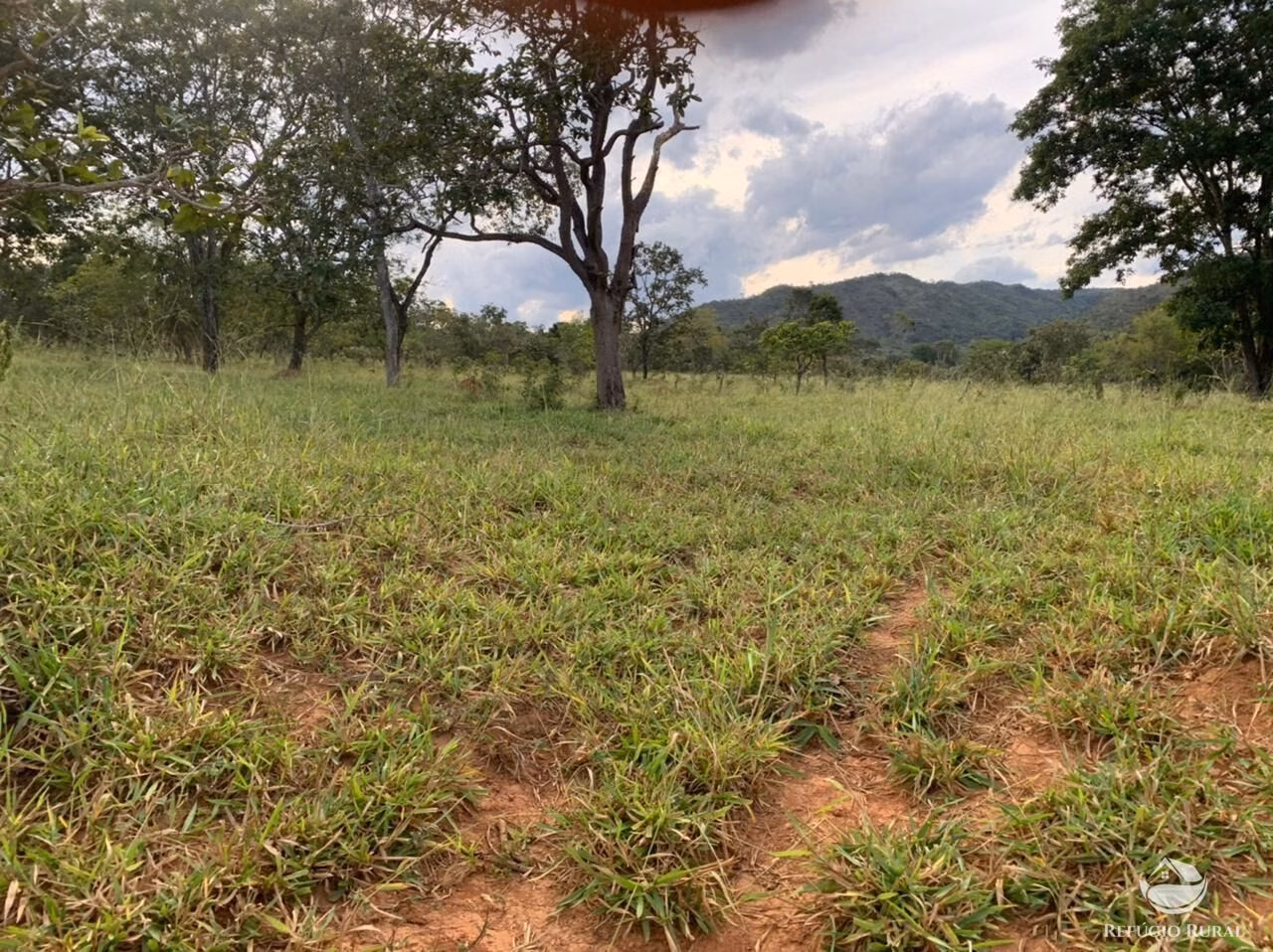 Fazenda de 212 ha em Brasília, DF