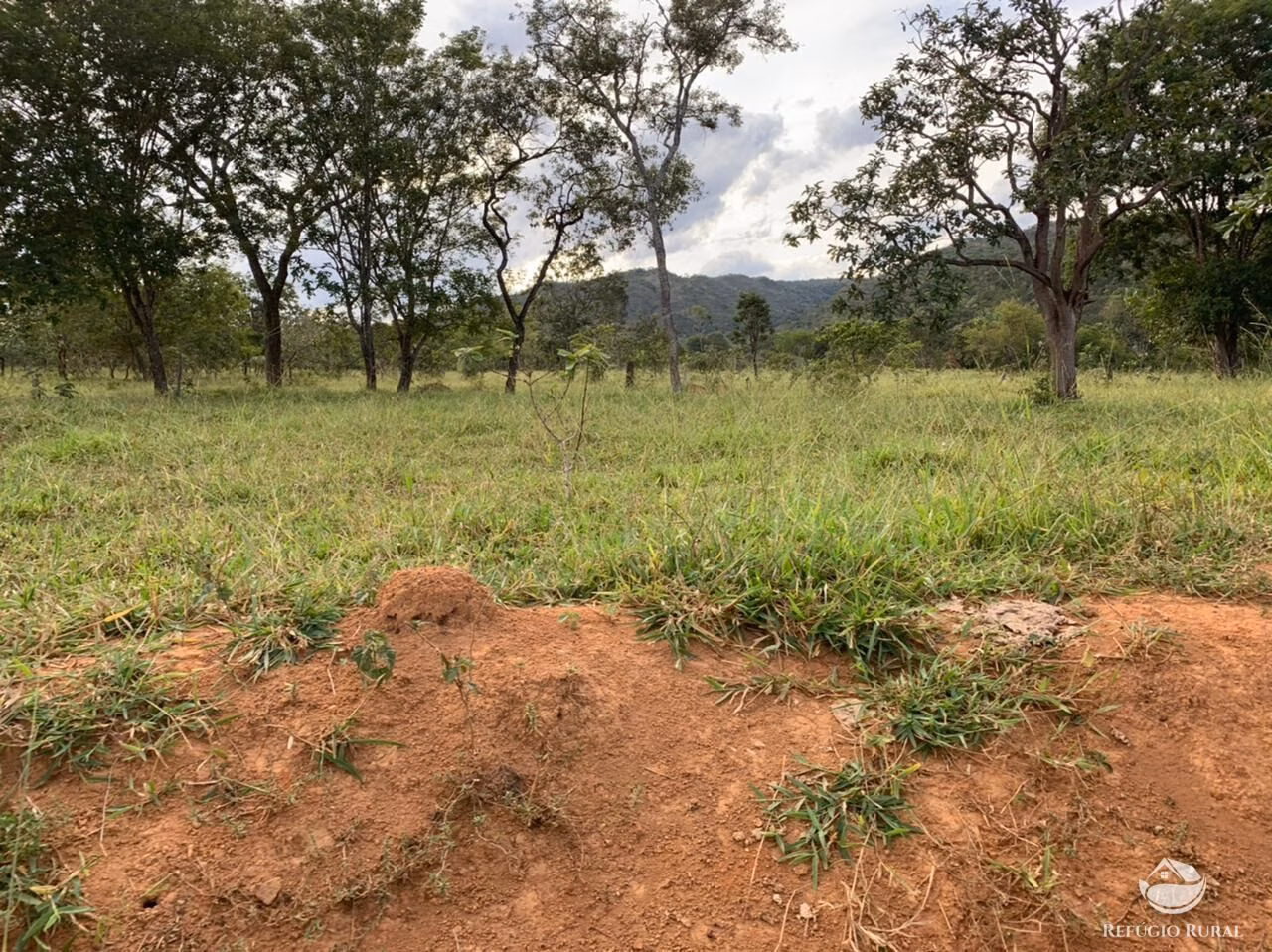 Fazenda de 212 ha em Brasília, DF