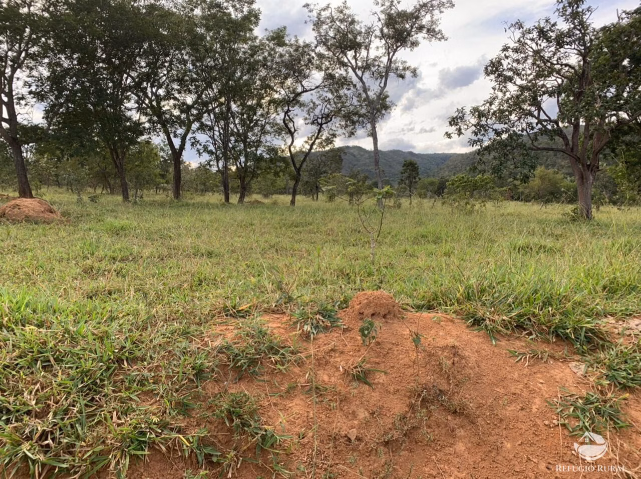 Fazenda de 212 ha em Brasília, DF