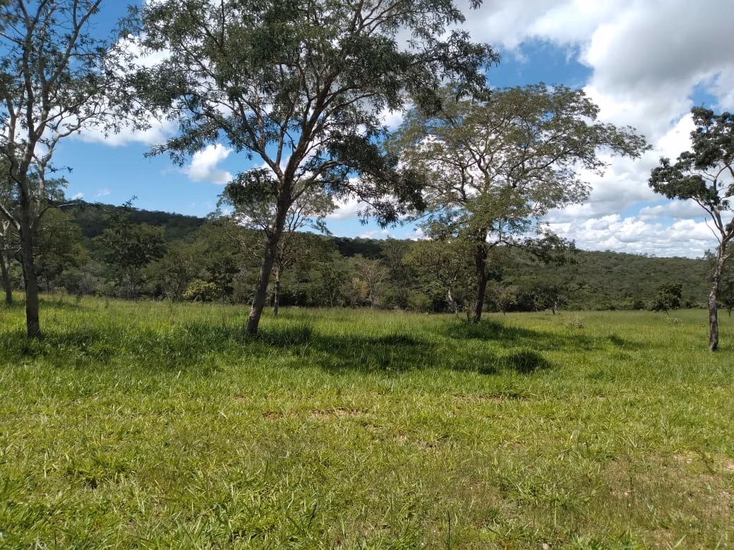 Farm of 124 acres in Orizona, GO, Brazil
