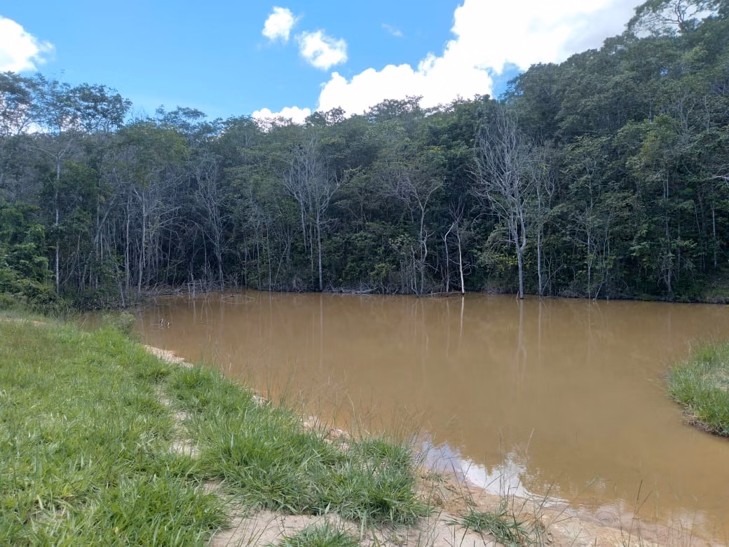 Farm of 124 acres in Orizona, GO, Brazil