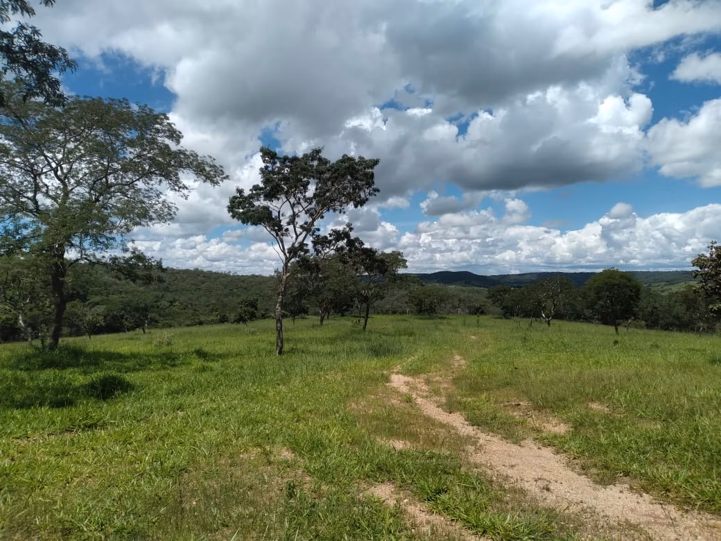 Farm of 124 acres in Orizona, GO, Brazil