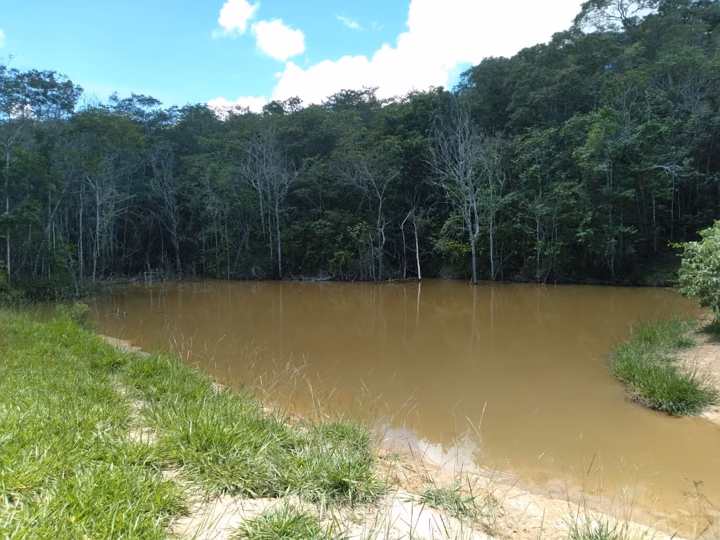 Farm of 124 acres in Orizona, GO, Brazil