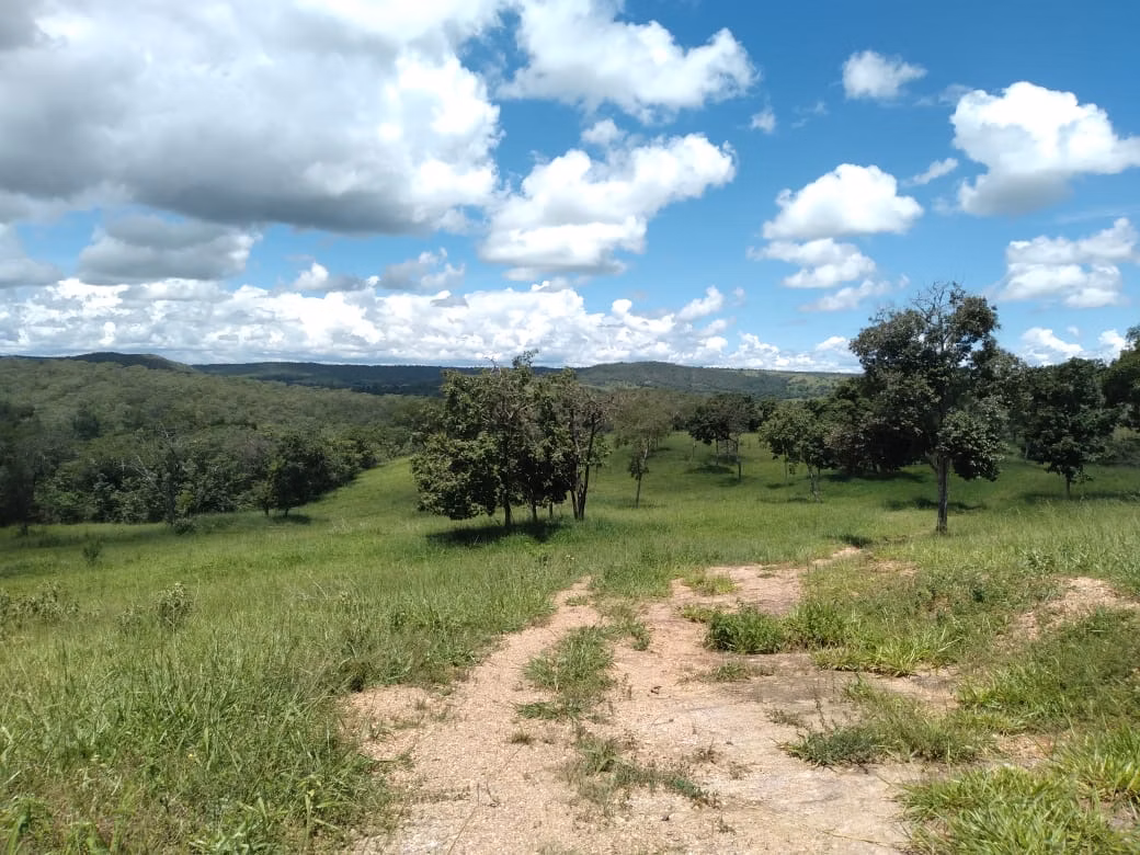 Farm of 124 acres in Orizona, GO, Brazil