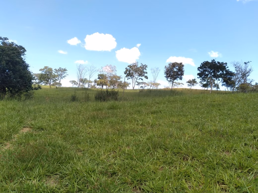 Farm of 124 acres in Orizona, GO, Brazil