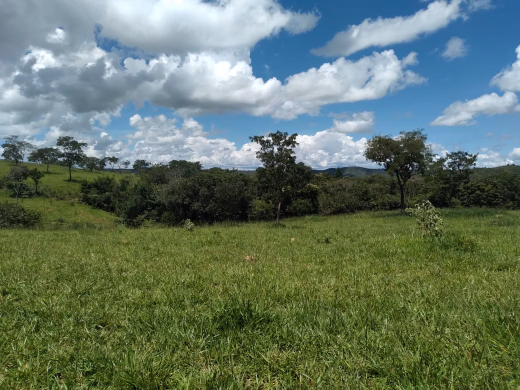 Farm of 124 acres in Orizona, GO, Brazil