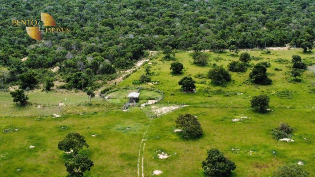 Farm of 1,782 acres in Poconé, MT, Brazil