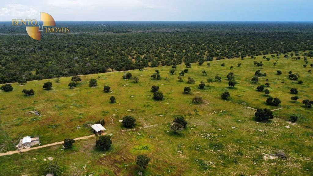 Farm of 1,782 acres in Poconé, MT, Brazil
