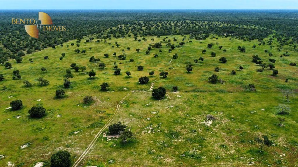 Farm of 1,782 acres in Poconé, MT, Brazil