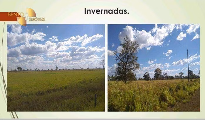 Fazenda de 11.922 ha em Nova Lacerda, MT