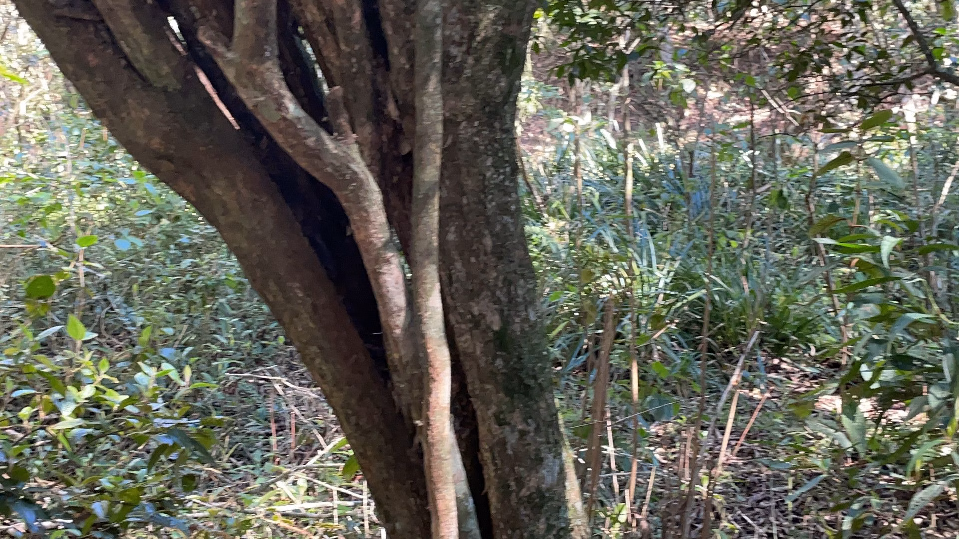 Country home of 2 acres in Santo Antônio da Patrulha, RS, Brazil