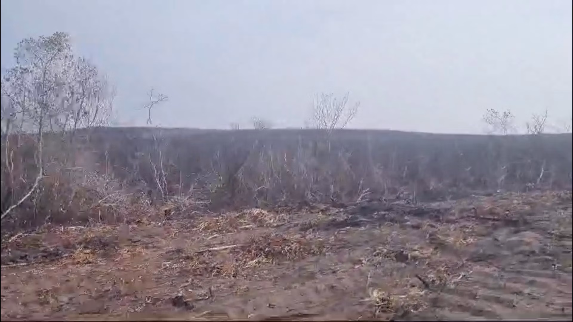 Fazenda de 2.853 ha em Reserva do Cabaçal, MT