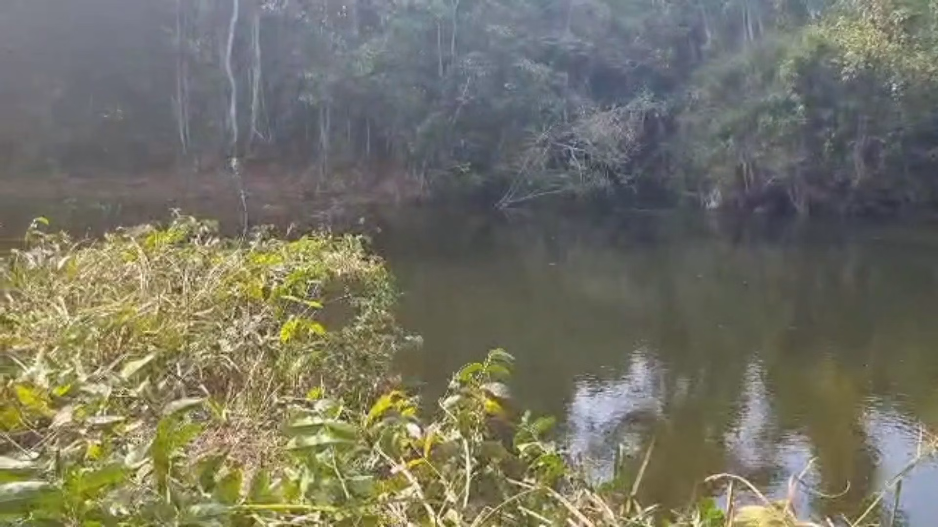 Fazenda de 2.853 ha em Reserva do Cabaçal, MT