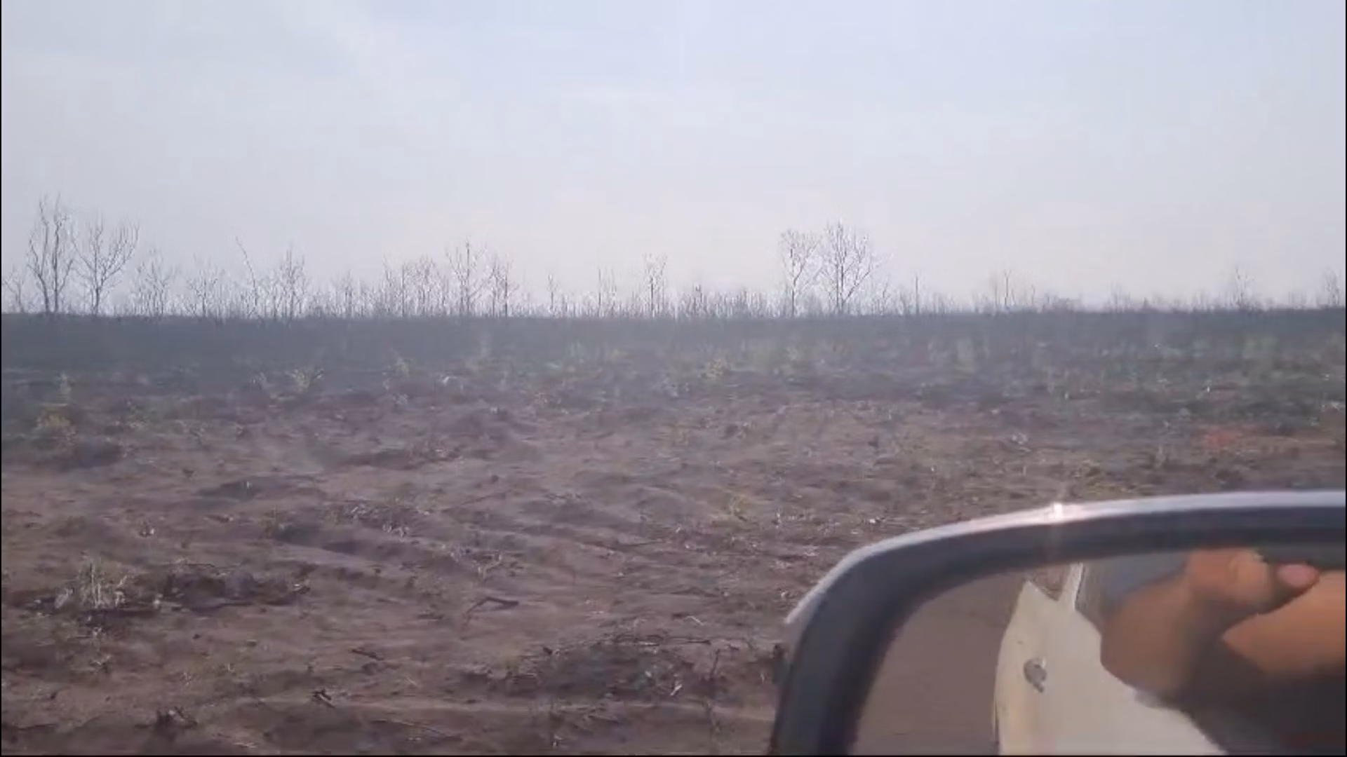 Fazenda de 2.853 ha em Reserva do Cabaçal, MT