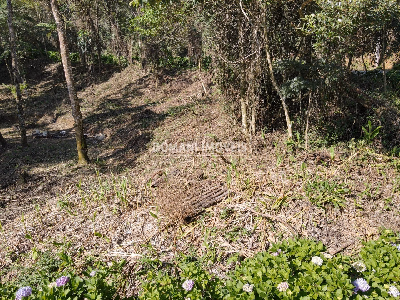 Terreno de 1.055 m² em Campos do Jordão, SP
