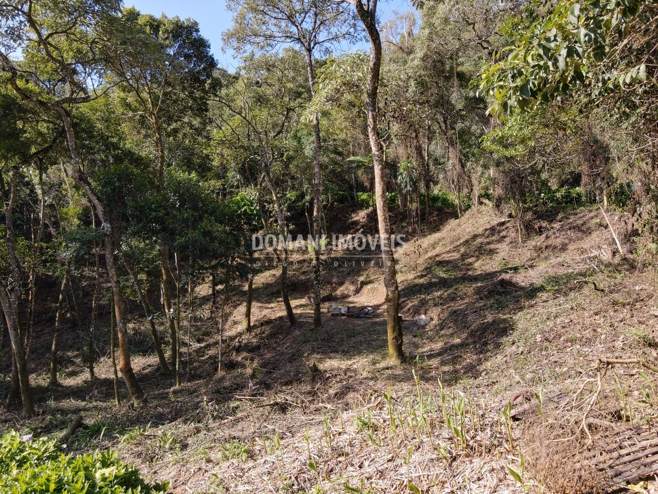 Terreno de 1.055 m² em Campos do Jordão, SP