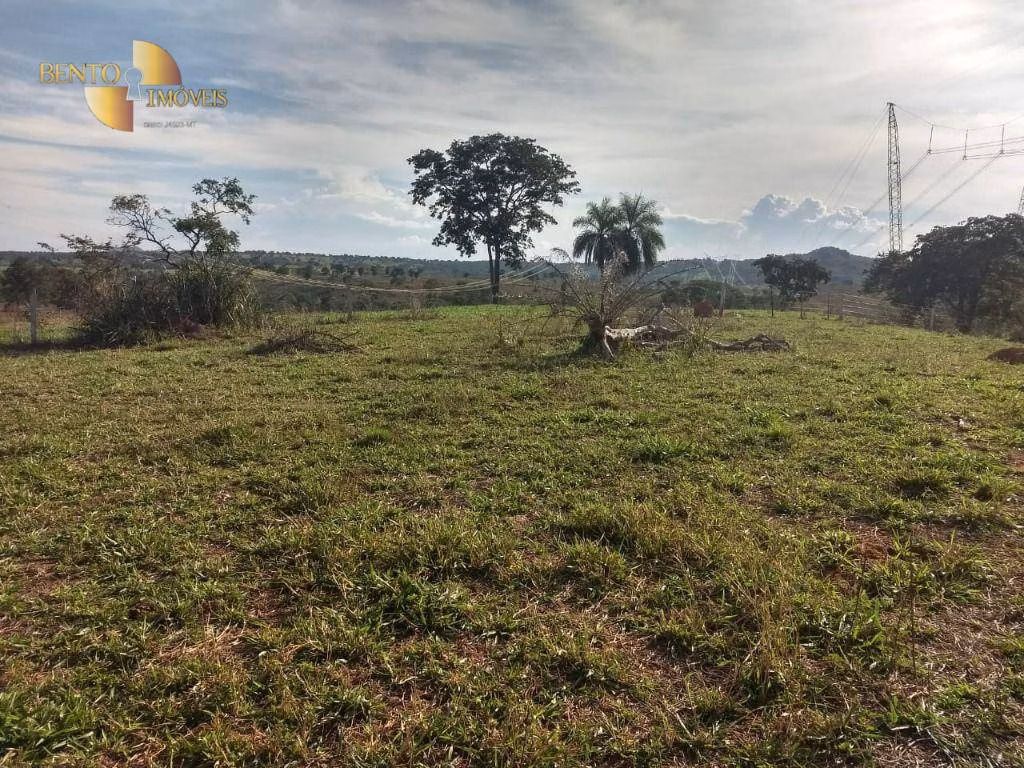 Fazenda de 984 ha em Guiratinga, MT