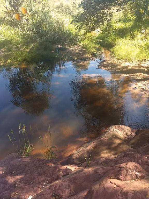 Fazenda de 984 ha em Guiratinga, MT