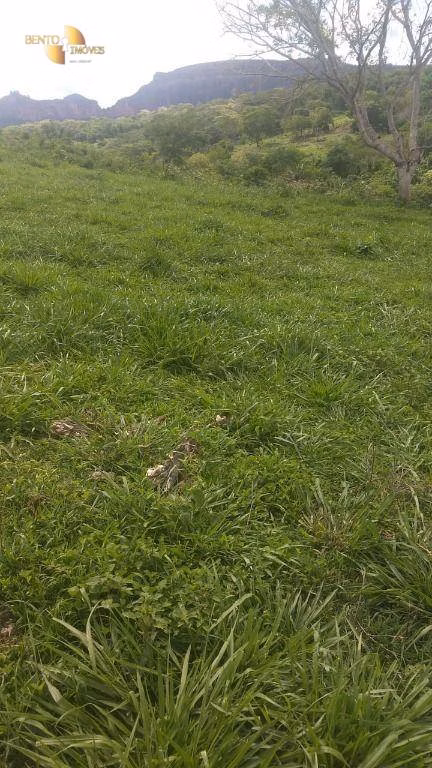 Fazenda de 984 ha em Guiratinga, MT