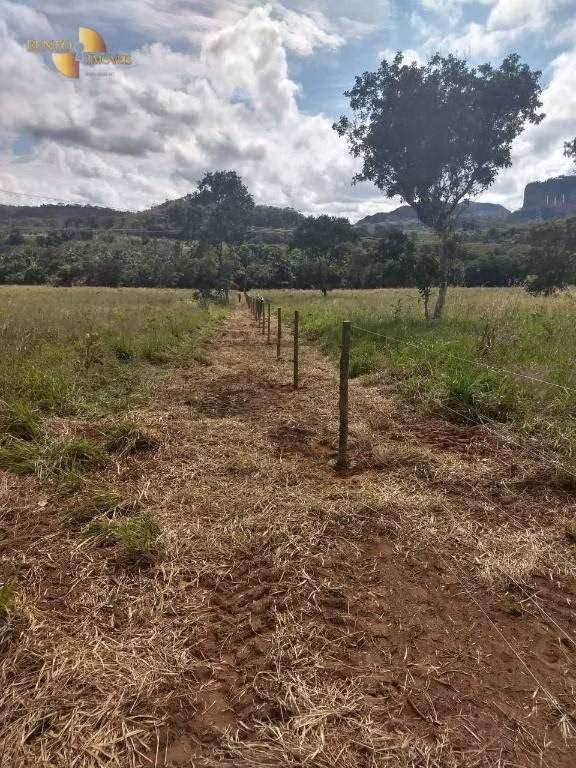 Fazenda de 984 ha em Guiratinga, MT