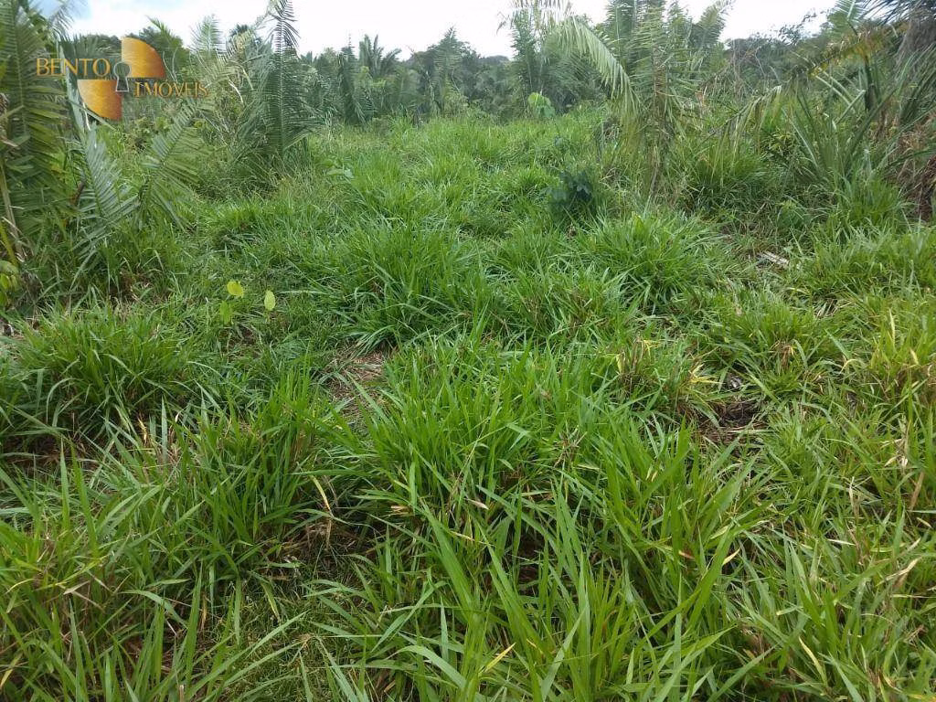 Fazenda de 984 ha em Guiratinga, MT