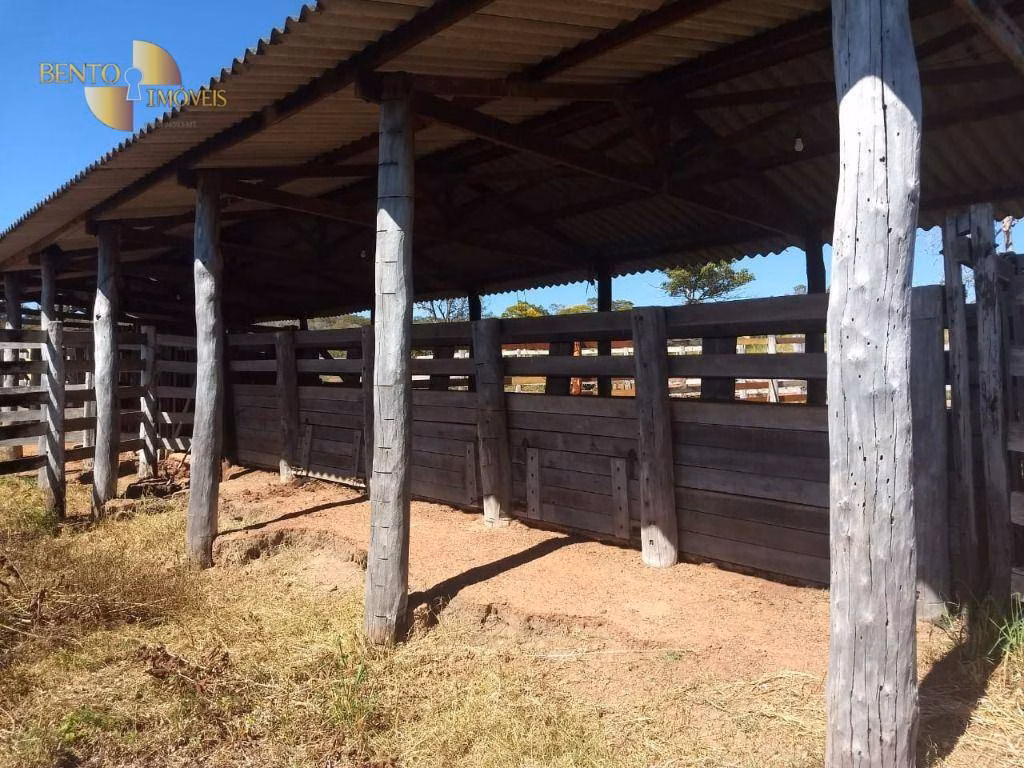 Fazenda de 984 ha em Guiratinga, MT
